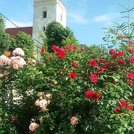 Apasjonata * Свидница