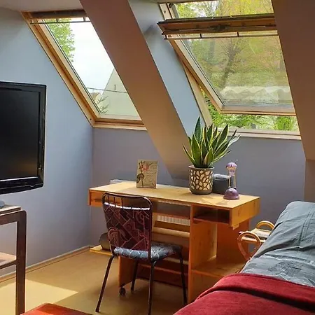 Apasjonata Świdnica