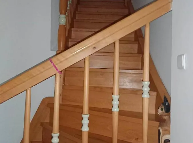 Apasjonata Świdnica