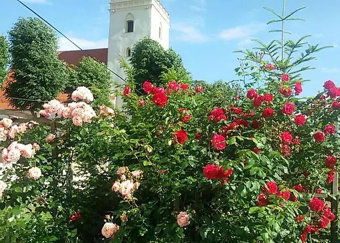 Apasjonata * Свидница