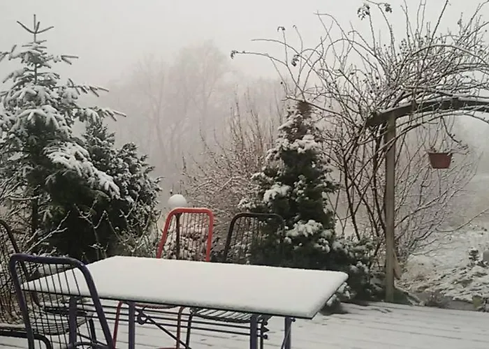 Проживание в семье Apasjonata